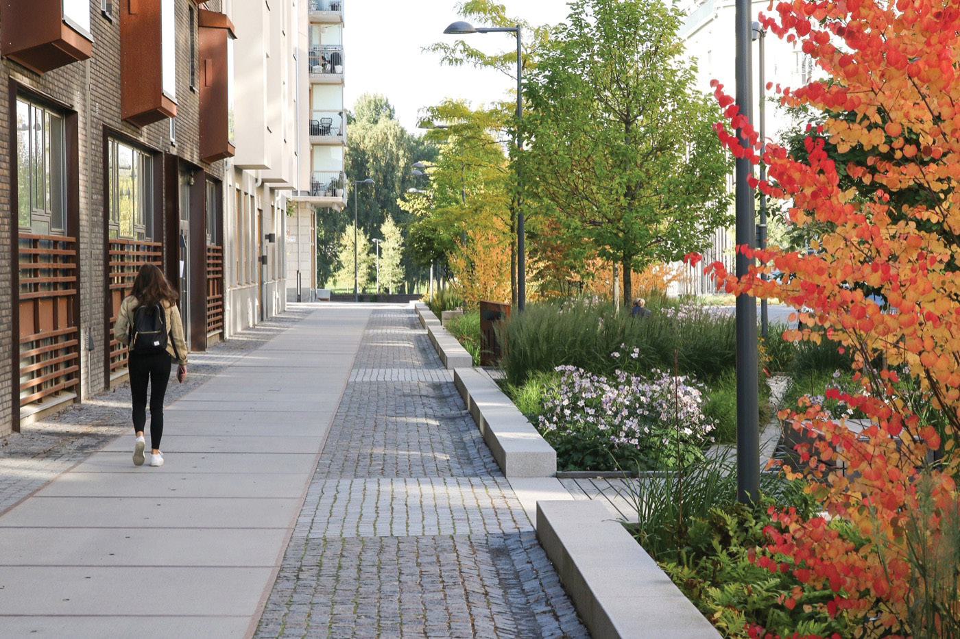 A view of a sidewalk. There are buildings on the left side of the picture and a person walking with their back facing the camera on a smooth, concrete section of the sidewalk. On the right side of the sidewalk, there is a section paved with small stone tiles and a concrete curb separating the sidewalk from a planting area. The planting area has grass, flowers, and trees. The trees in the foreground have red and orange leaves.