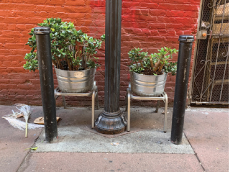 A close up of two metal planters containing green succulents on either side of a light pole.