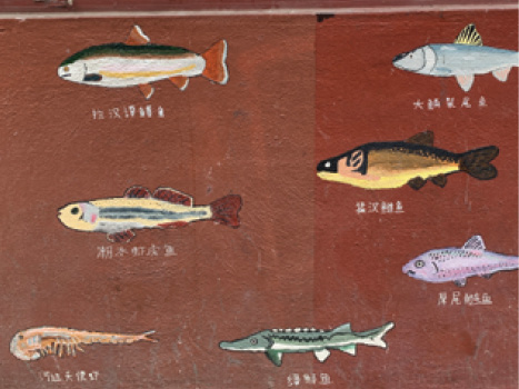 A mural with seven different types of fish painted on a dark red background.