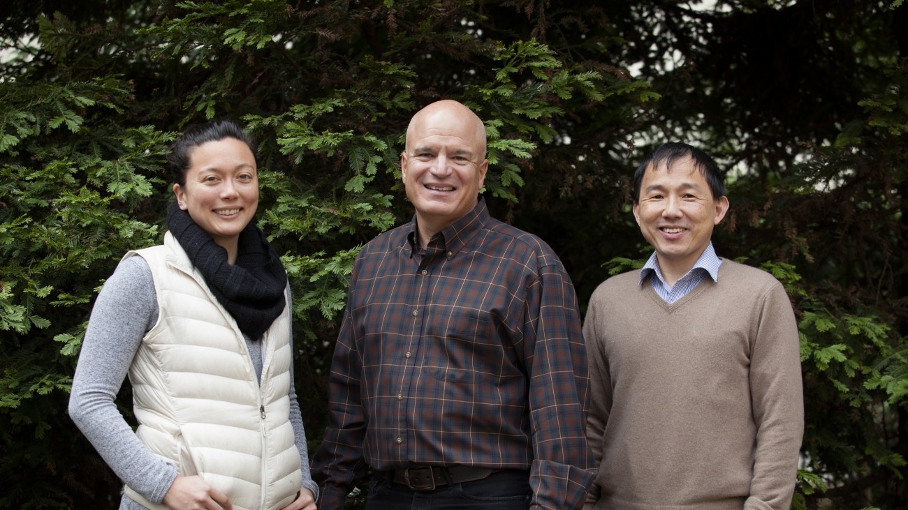 The capital projects team