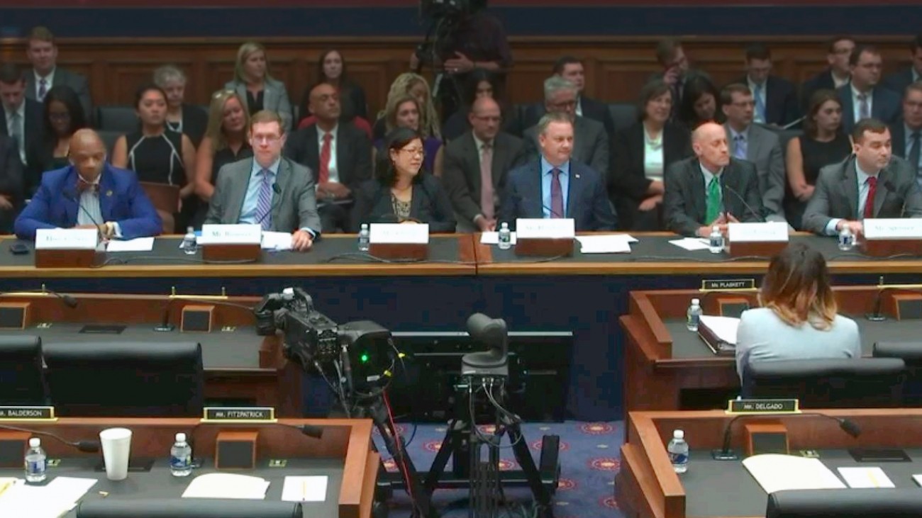 Tilly Chang at the Congressional Hearing