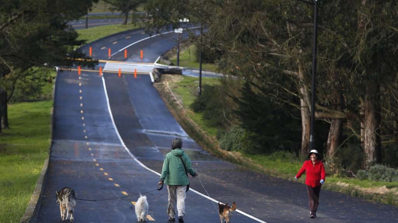 People walking with dogs on Mansell in McLaren Park