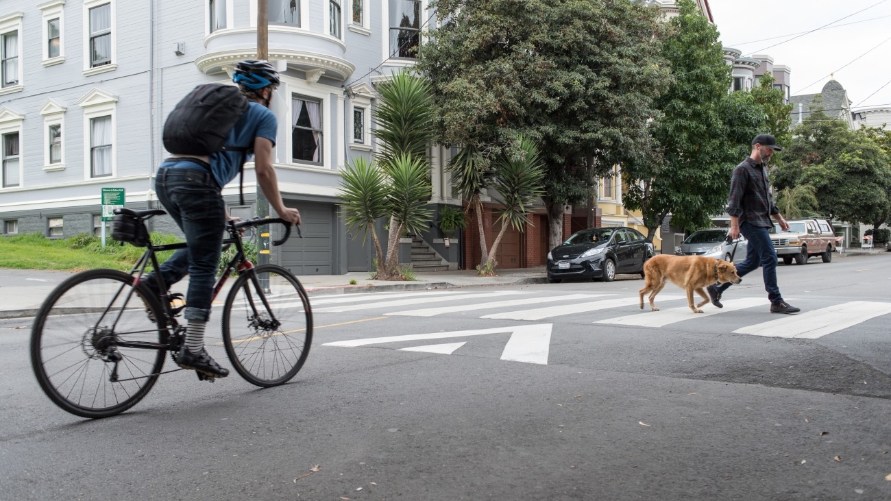 Person with dog walking on raised crosswalk with bicyclist waiting