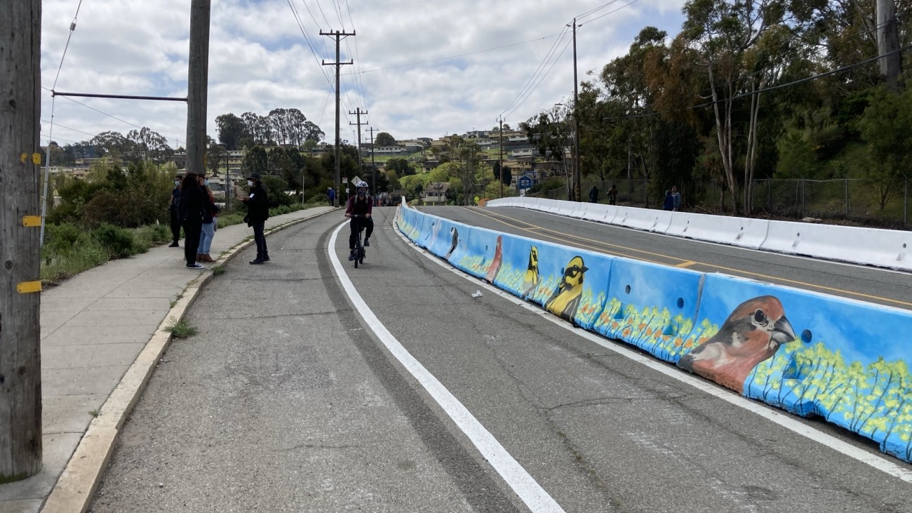 Cyclist riding along protected bikeway