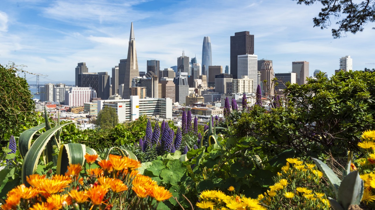 San Francisco's downtown peeks out from behind flowers