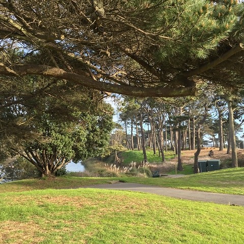 Existing Lake Merced path