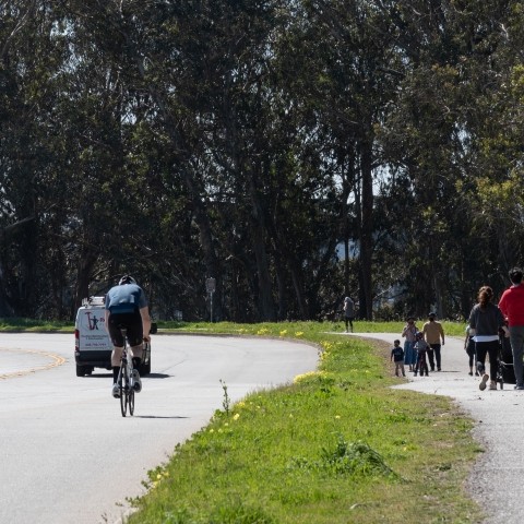 Pedestrians on path and bike and vehicles on road along Lake Merced