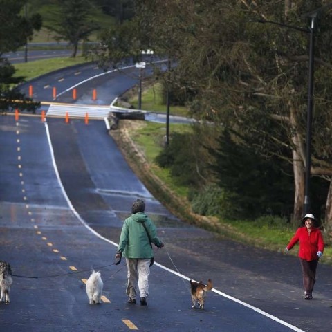People walking with dogs on Mansell in McLaren Park