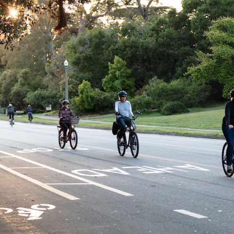 People biking on a street in Golden Gate Park.