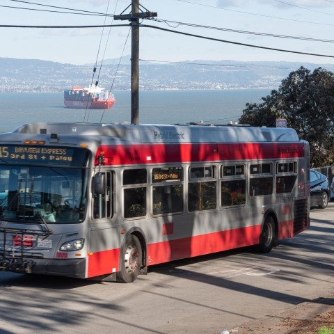 15 Bayview Express bus along road with waterfront in background