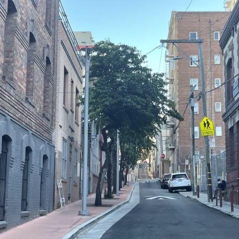 Street lights along Chinatown's Joice Alley