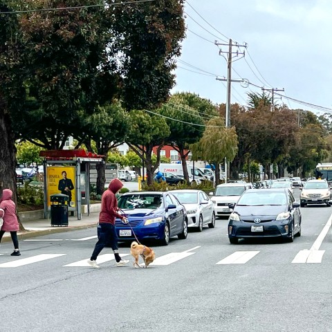 Pedestrians crossing the street at Brotherhood Way 