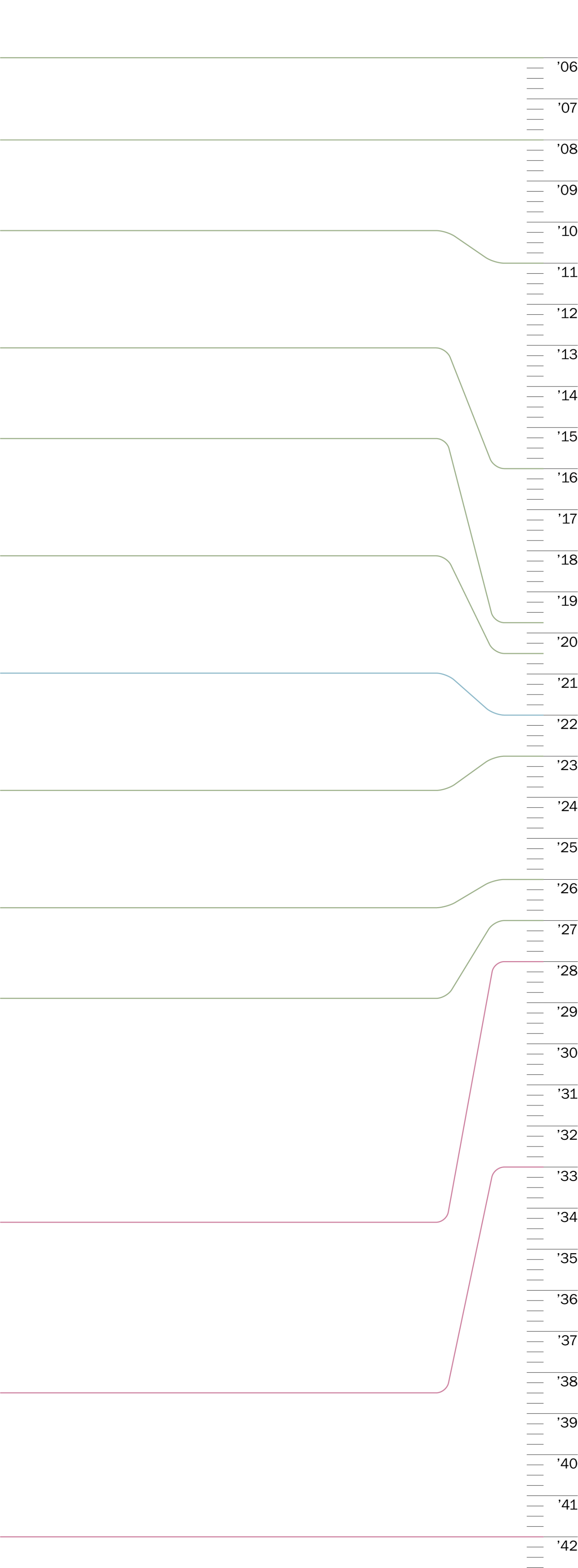 Timeline graphic (decorative)